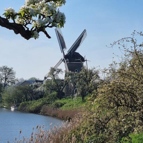 Verkooppunt Betuws Theehuis | Molen de Vrijheid Beesd